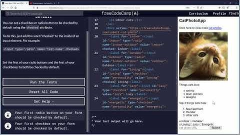 Check Radio Buttons and Checkboxes by Default | Free Code Camp Org Basic HTML and HTML5