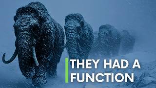 What mammoths did on Earth that almost nobody knows