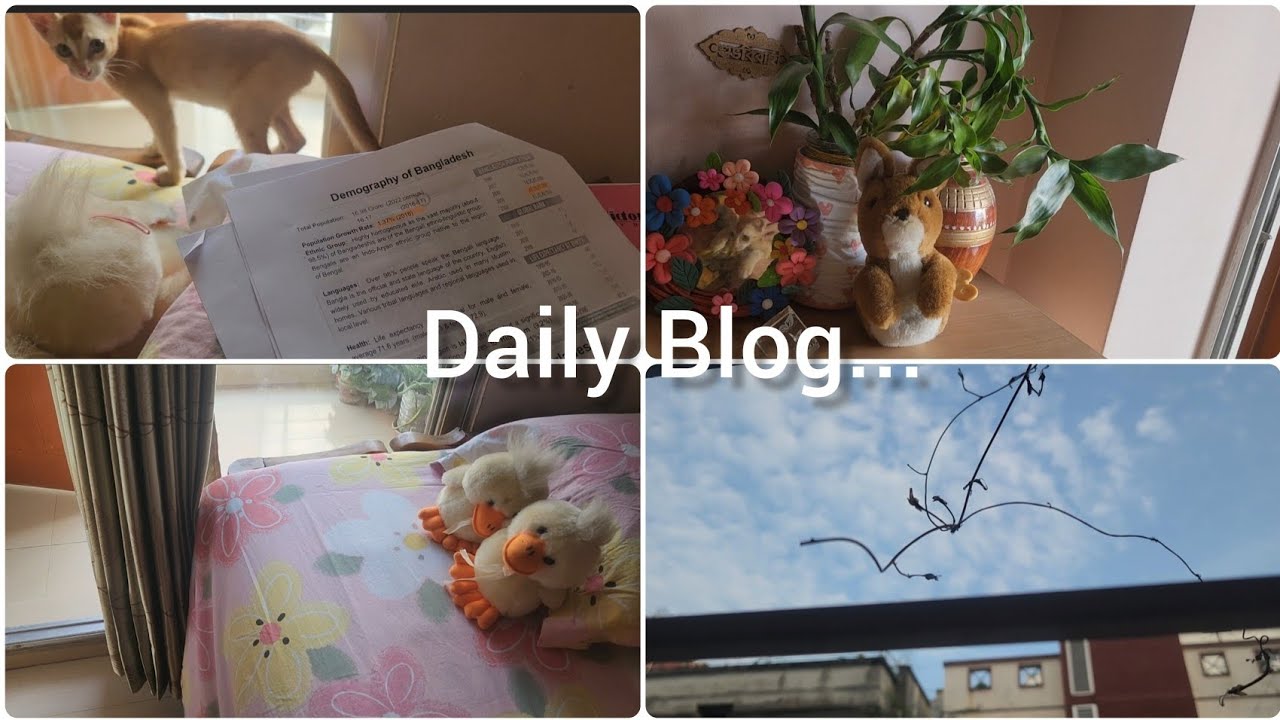 Daily Blog...💫🌼 | Moonshine Tasnim | Aesthetic Blog | Study Blog | Daily Life | My Daily Routine
