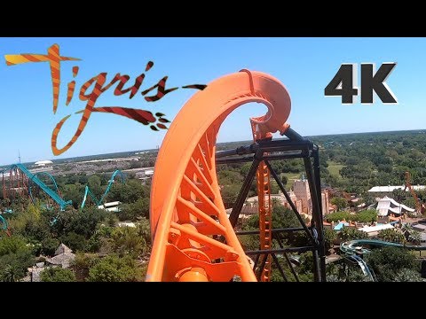 Tigris POV On Ride - Busch Gardens Tampa - Front & Backwards