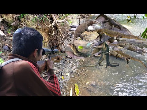 PULUHAN EKOR BIAWAK SERBU SATU EKOR BABI DI PERAIRAN WARGA