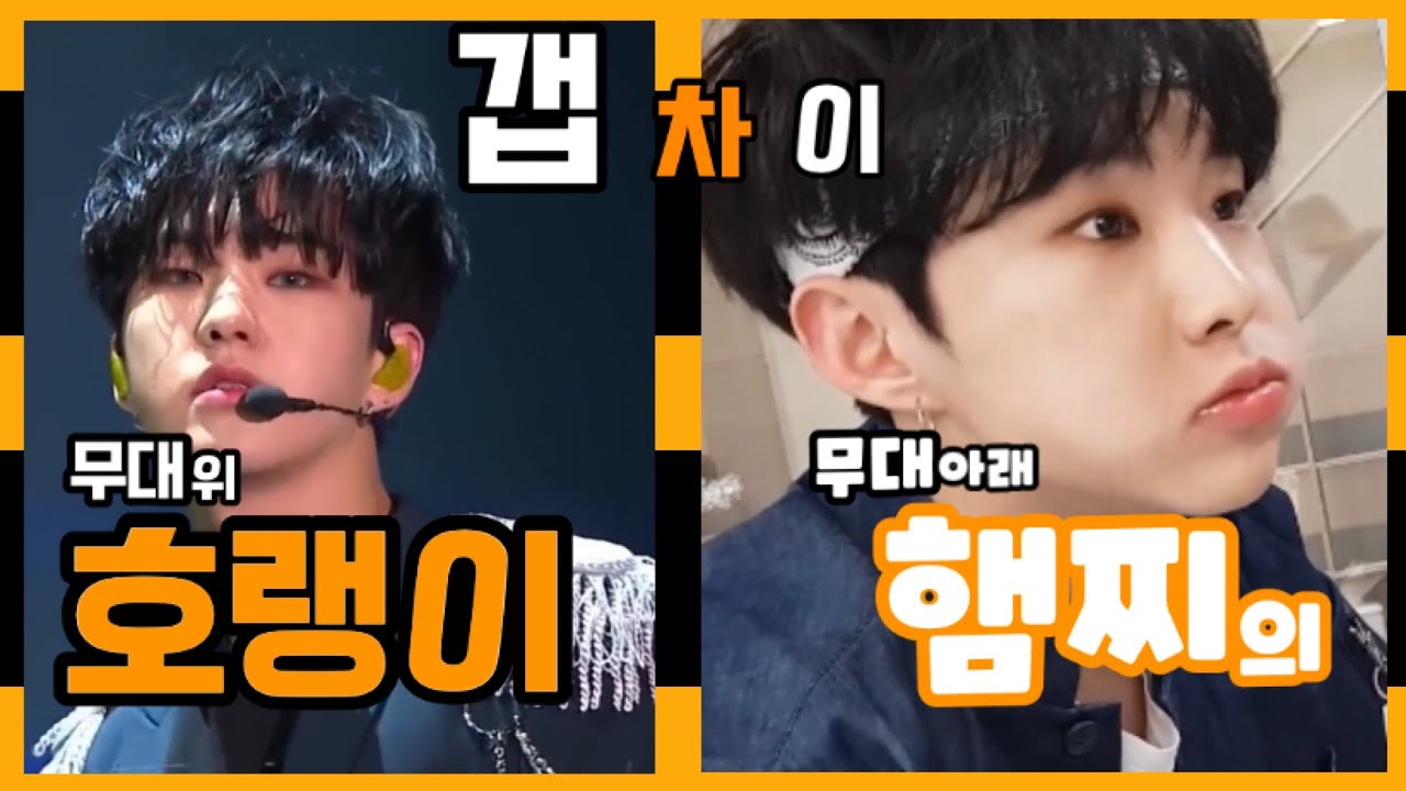 [세븐틴/호시] 햄찌와 무대의 호랑이의 갭차이🐯🐹