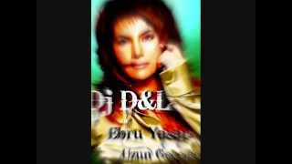Dj D&L Vs. Ebru Yaşar - Uzun Geceler(Remix) Resimi