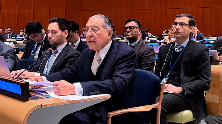 Pakistan’s statement on UN Security-Council’s Reforms on the “Veto” today at IGN meeting. Jan 21