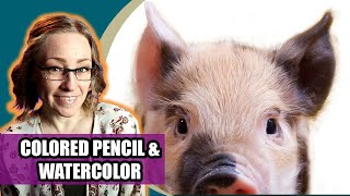 Watercolor & Colored Pencil Pig Full Tutorial  + Art Q&A LIVE