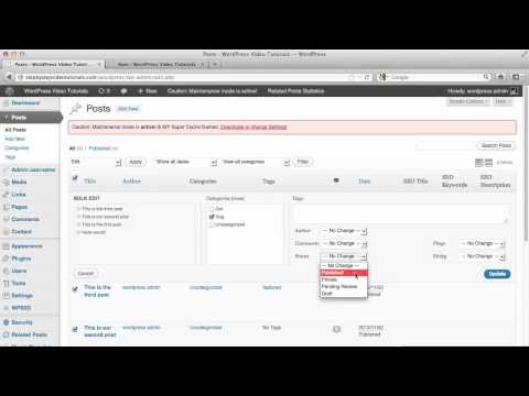 WordPress Tutorials   52   How To Edit Multiple Posts At The Same Time