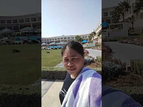 at Egypt