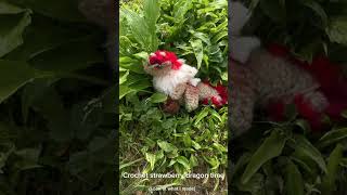Lil strawberry dragon