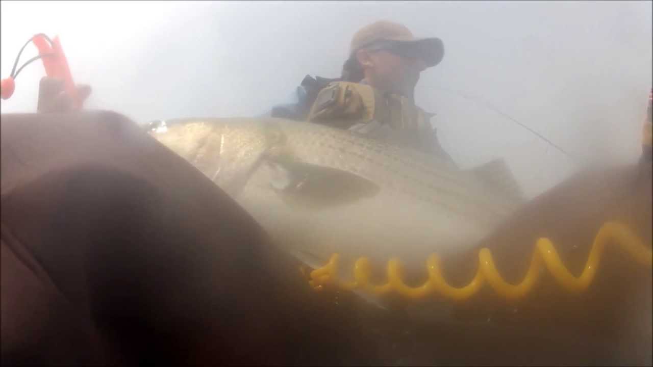 35 LB 46 INCH Striped Bass Kayak Fishing NJ YouTube