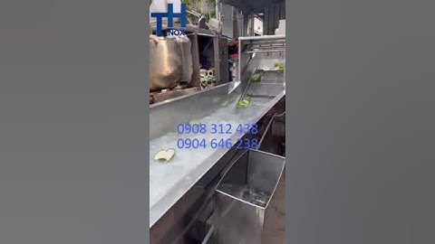 Máy rửa vỏ Bưởi Bòng, rửa nguyên liệu chưng cất Tinh Dầu