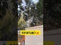 P2P OFFLINE PROBLEM