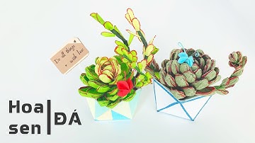 Làm Hoa Sen Đá Từ Giấy Nhún - Cách Làm Hoa Sen Đá Bằng Giấy Nhún Đơn Giản | DIY | Stone Lotus Paper