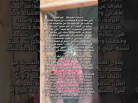 دير القديس اندراوس ابو الليف غرب نقادة بمحافظة قنا بمصر 1MrRoss 