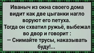 Как Две Цыганки у Иваныча Петуха Украли! Сборник Свежих Анекдотов! Юмор!