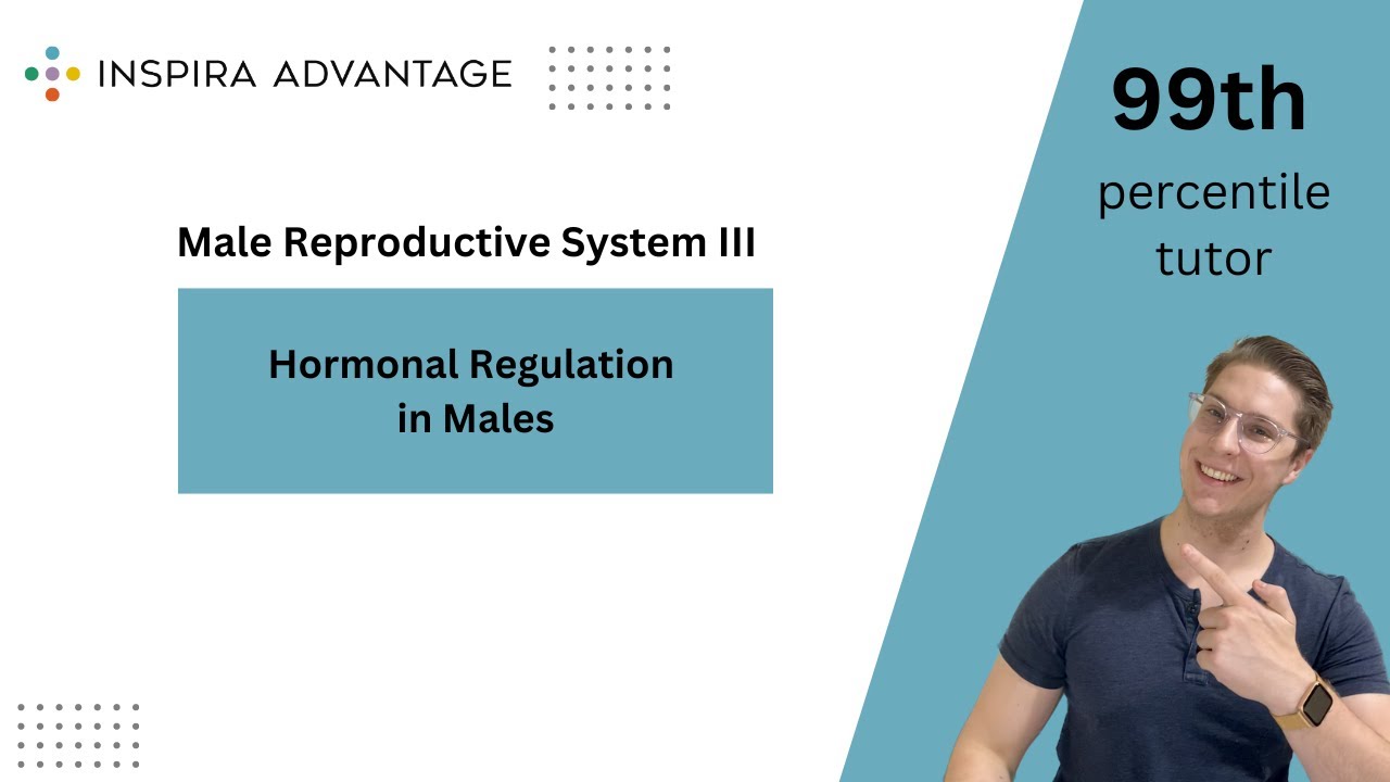 Male Reproductive System III: Hormonal Regulation in Males
