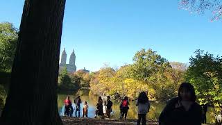 New York City Central Park, the Pond