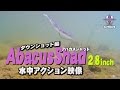 アバカスシャッド2.8インチ（フラッシュユニオン）の水中アクション映像を藤木淳が解説
