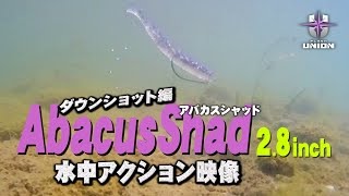 アバカスシャッド2.8インチ（フラッシュユニオン）の水中アクション映像を藤木淳が解説