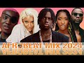 AFROBEATS MIX 2024 BEST OF NAIJA AFROBEAT VIDEO MIX AMAPIANO MIX 2024 REMA TYLA DAVIDO mp3