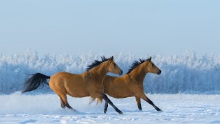 Очень Красивая Вдохновенная Кинематографическая Музыка! Вы только послушайте