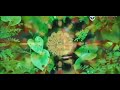 أقوى dj harba 2020 mp3