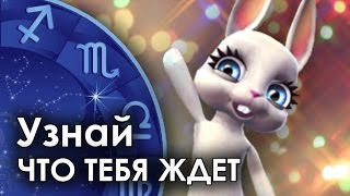 Смешная Зайка - гороскоп для ВОДОЛЕЕВ ♒. + Смешной прикол!