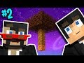 Minecraft: Sky Factory 4 w/ X33N Ep. 2