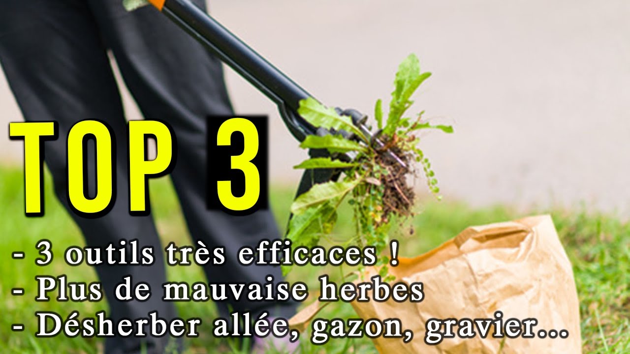 10 trucs pour faire disparaître les mauvaises herbes de votre