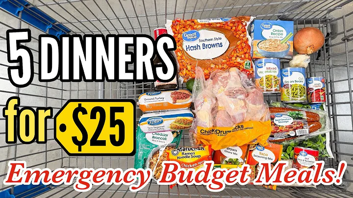 Make 5 EASY Dinners for $25! | Tasty Budget Meals & Walmart Grocery Haul | Julia Pacheco