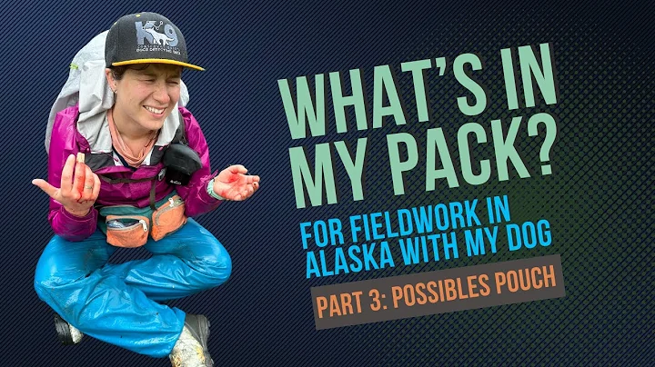 Conservation Detection Dog Handler Pack Contents Part 3: Possibles Pouch