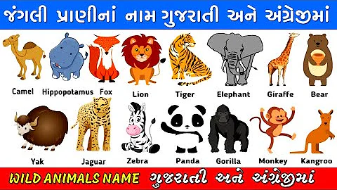 જંગલી પ્રાણીઓના નામ | Wild animals Names in English and Gujarati | animals name gujarati & english