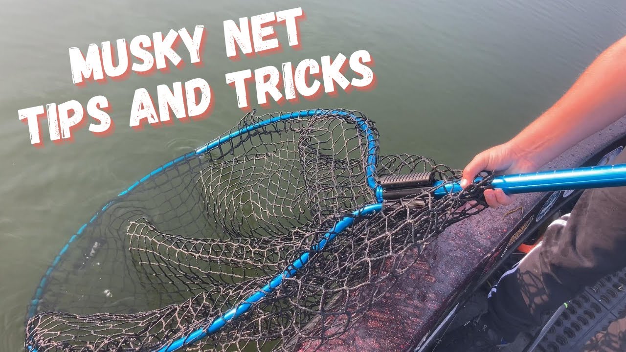 MUSKIE NET TIPS and TRICKS on How To Net A Musky 
