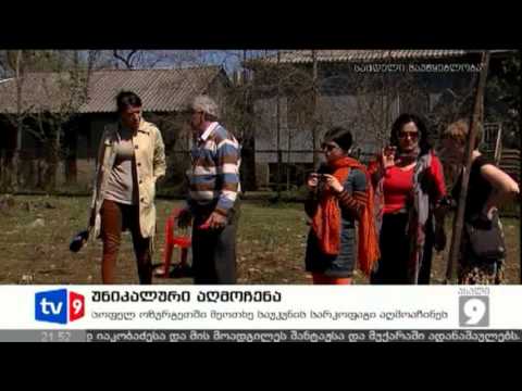 ახალი 9 | უნიკალური აღმოჩენა | 30.03.13