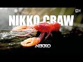 Nikko craw  une imitation dcrevisse ultra raliste