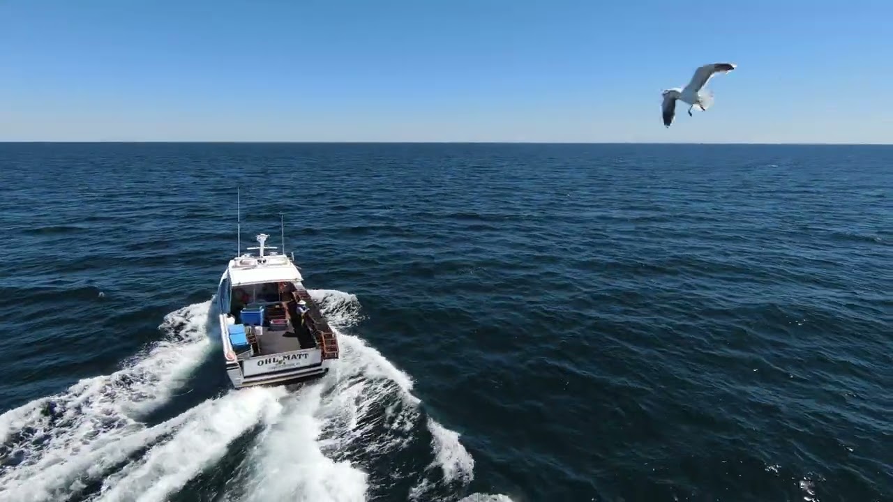 OHL MATT - lobster fishing off the coast of Prince Edward Island