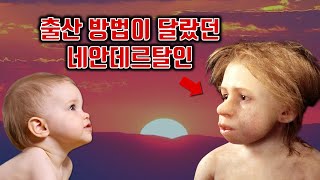 최근에 밝혀진 네안데르탈인에 대한 흥미로운 사실 6가지_Ep2