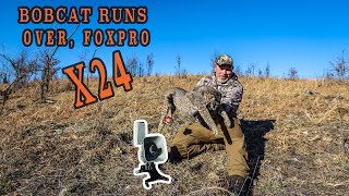 Bobcat Runs Over, Foxpro X24