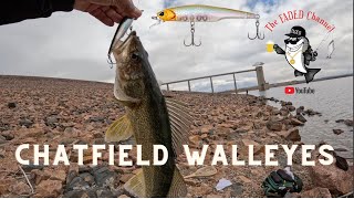 Chatfield Colorado Fishing: Master the Art of Trout and Walleye Angling From Shore