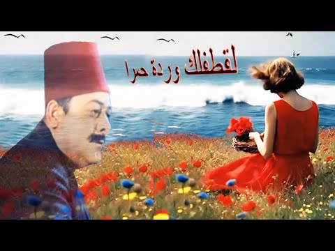 I Ll Pick You A Red Rose A Song With The Beautiful Resonant Voice Of Nasri Shamseddine 