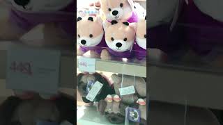 MINISO & CAFE INSIDE DEPT. STORE #sorts  #shortsfeed #plushies