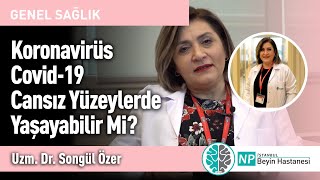 Koronavirüs Covid-19 Cansız Yüzeylerde Yaşayabilir Mi?