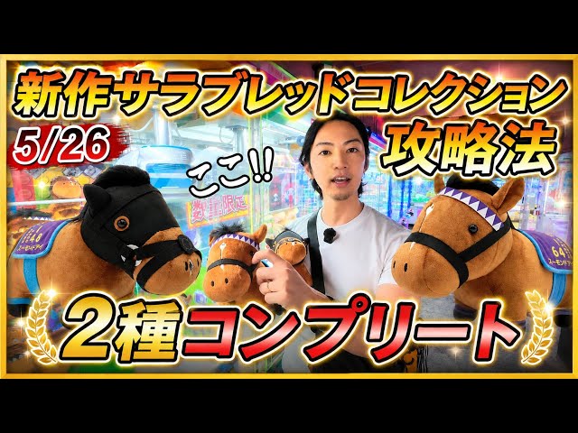 Thoroughbred Collection サラブレッドコレクション The Ultimate Guide to the New Thoroughbred Collection!! Use This