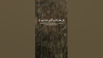 إنى جزيتهم اليوم بما صبروا اسلام صبحى تلاوة خاشعة #اسلام_صبحي #quran