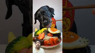Funny Food Video Lllll