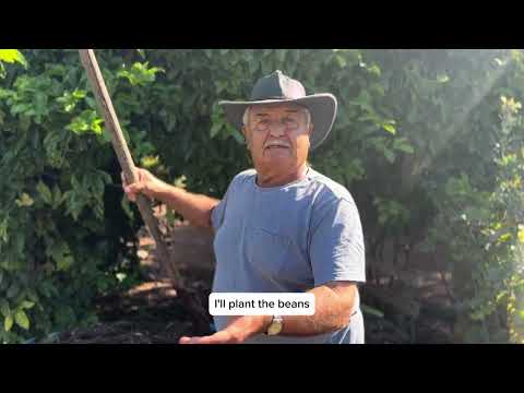 How To Condition Or Prepare Your Soil For Planting 