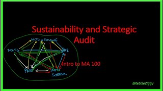 Intro to Sustainability and Strategic Audit (MA 100)