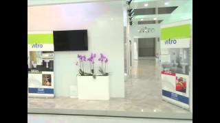 vitro egypt