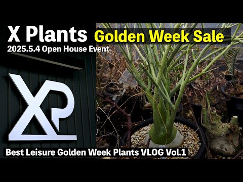 X Plants] Golden Week Sale: Amazing Plants That Will Blow Your