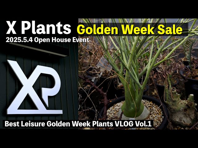 X Plants] Golden Week Sale: Amazing Plants That Will Blow Your