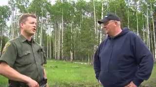 In this episode, you